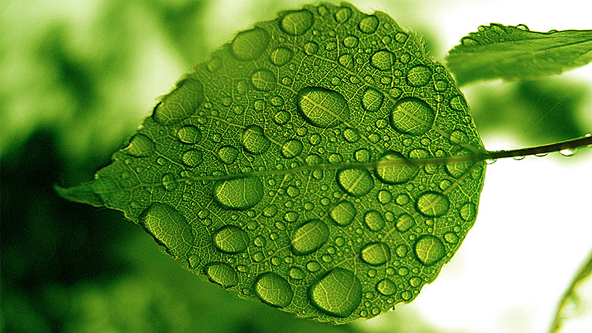 Aspect Media Aspect Media